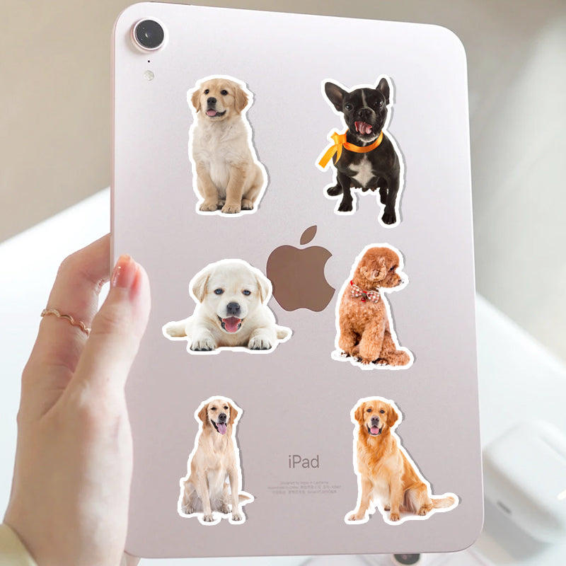 Custom Pet Stickers