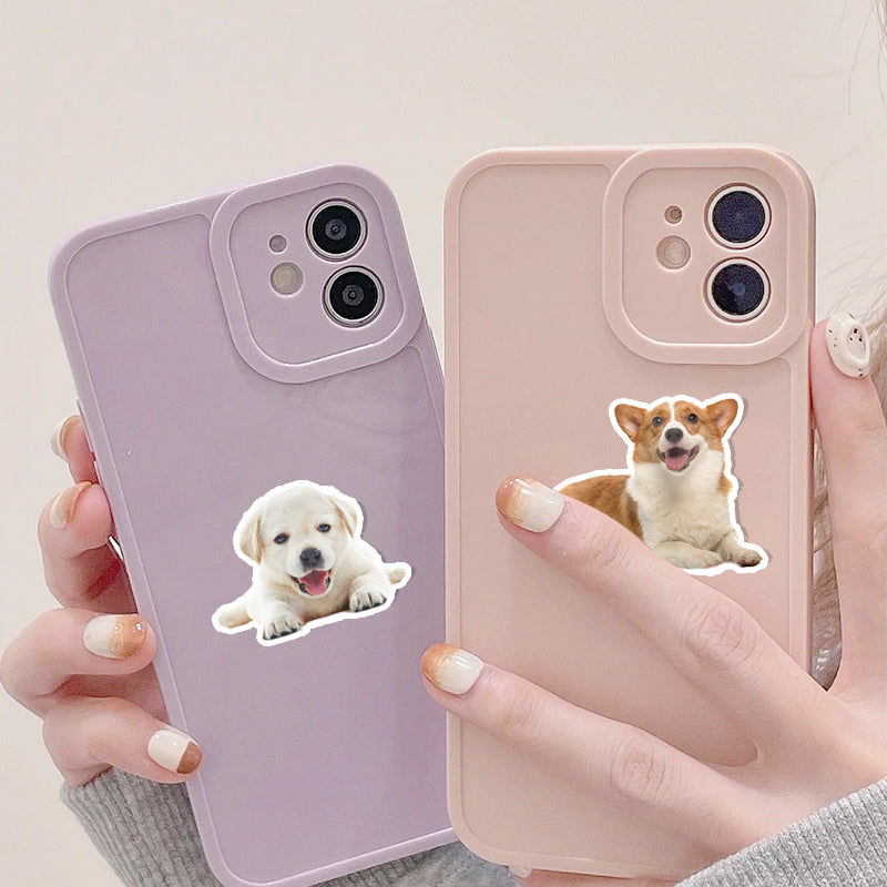 Custom Pet Stickers
