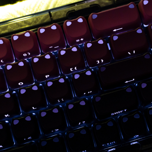 Side-printed cat ear keycaps showing RGB shine-through lighting effect on a mechanical keyboard.