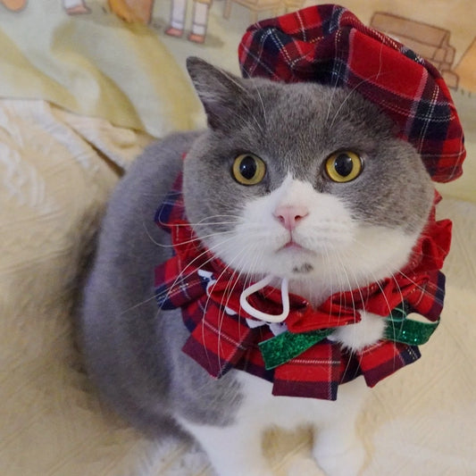 Cute Christmas cat apparel with plaid hat and bow for holiday photos