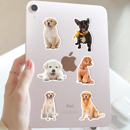 Custom Pet Stickers