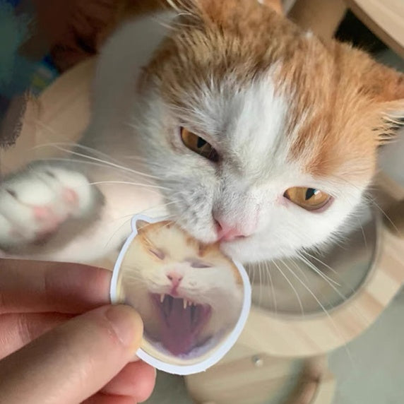 Custom Pet Stickers