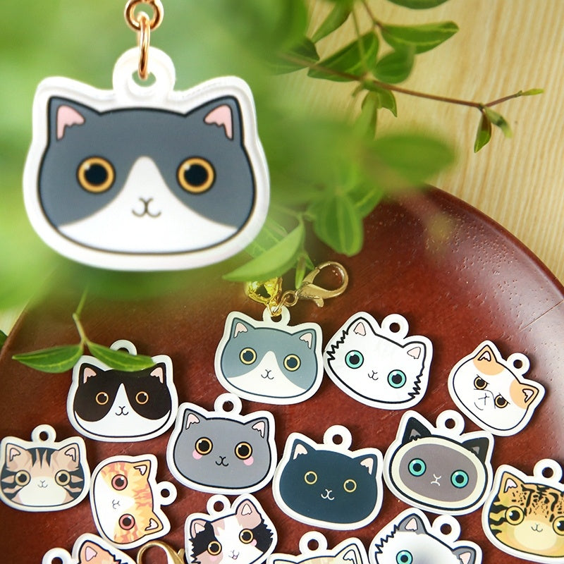 Custom Cat ID Tag