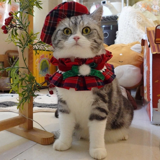 Jolly Jingle Cat Outfit Set with plaid accessories for Christmas – festive holiday look for cats